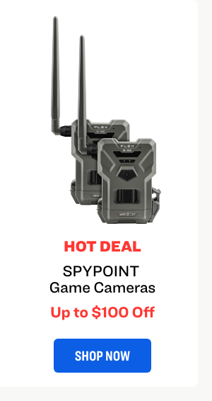 Up to $100 Off