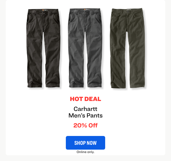 Carhartt Pants