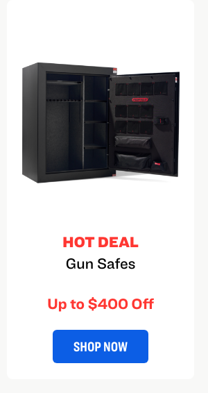 Gun Safe