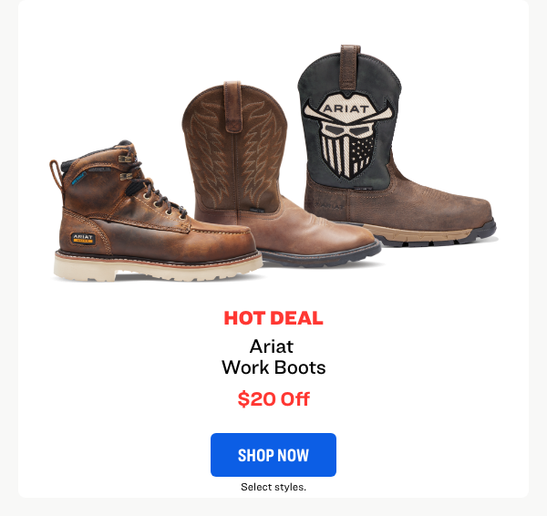 Ariat Work Boots
