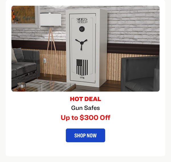 Gun Safes