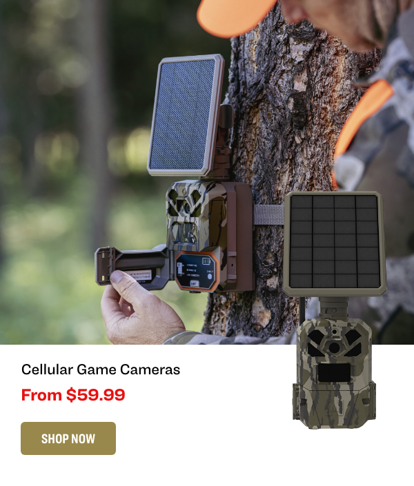 Cellular Game cameras