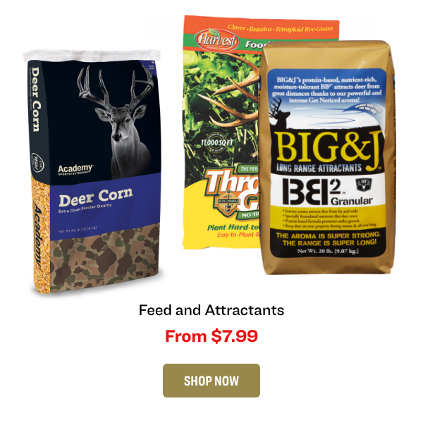 Feed and attractants
