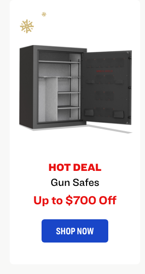 Gun Safes