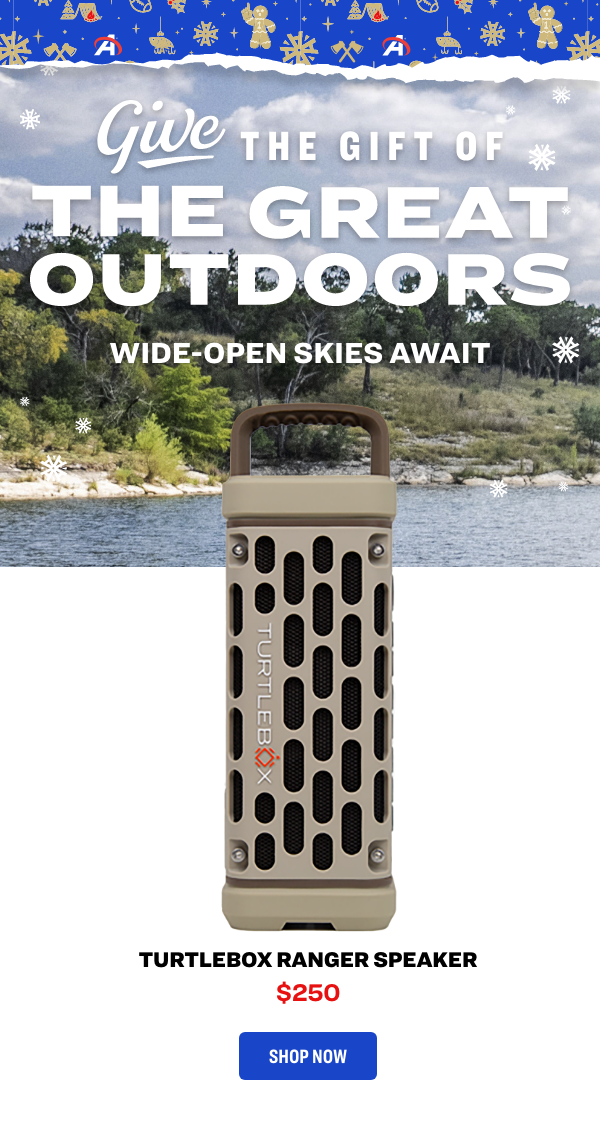 Turtlebox ranger speaker