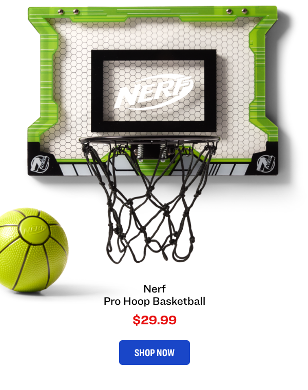 Nerf Pro Hoop Basketball