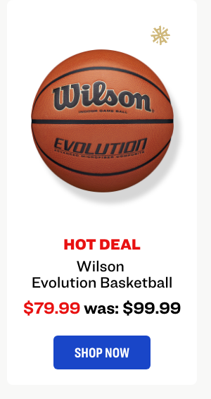 Wilson Evolution Basketball