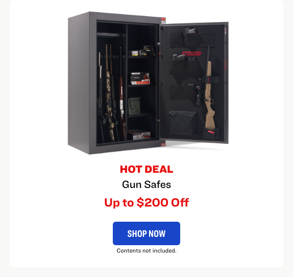Gun Safes