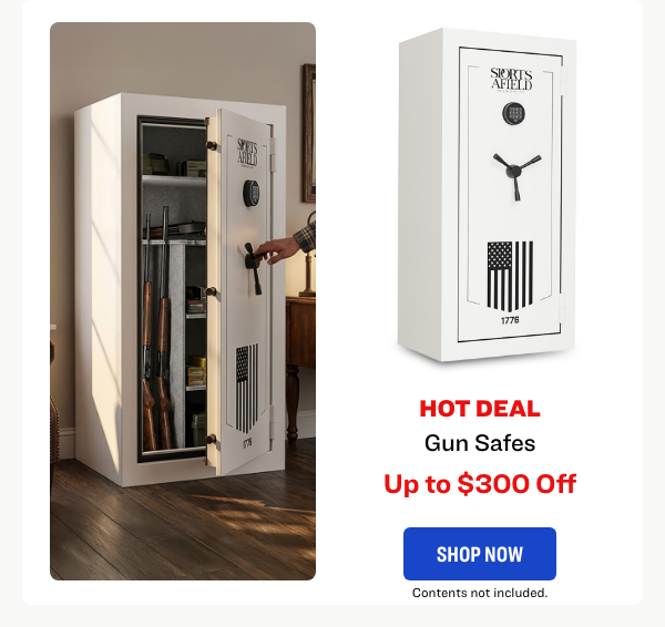 Gun Safes