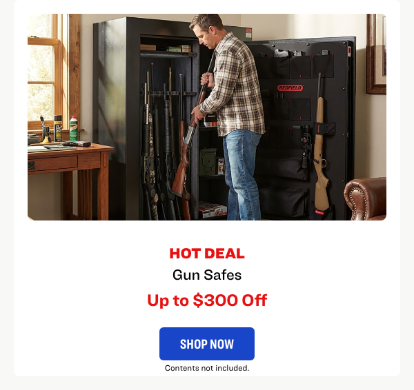 Gun Safes