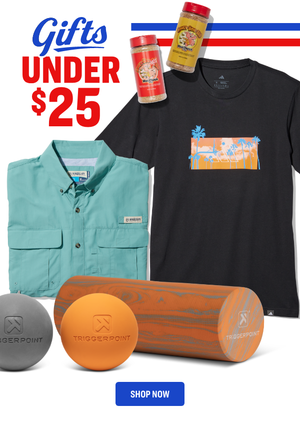 gifts UNDER $25