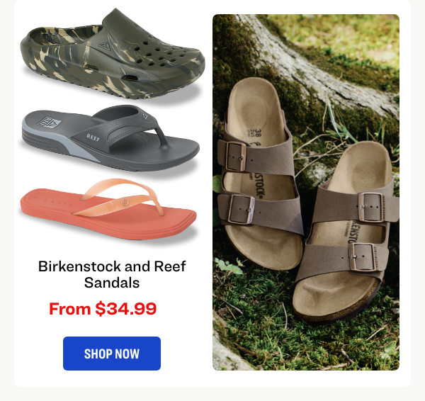 Birkenstock and Reef Sandals
