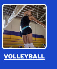 VOLLEYBALL