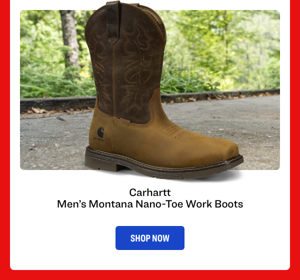 Carhartt Men's Montana ano-Toe Work Boot