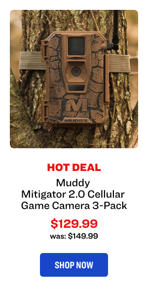 Muddy