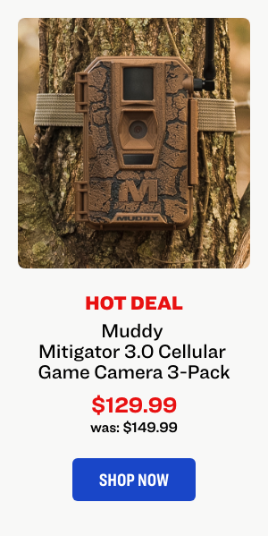 Muddy