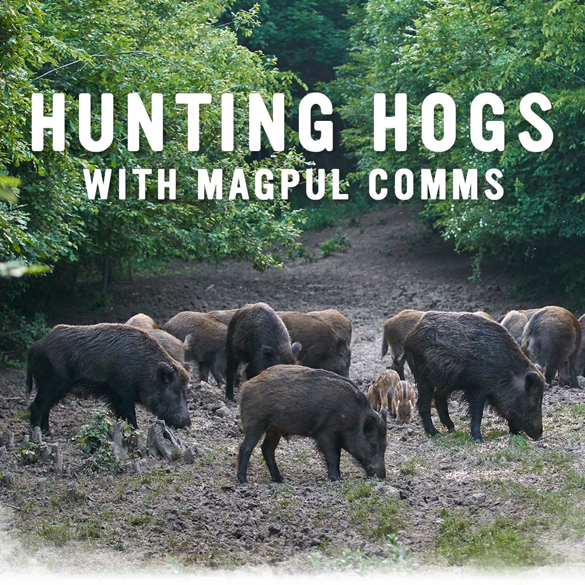 Hunting Hogs With Magpul COMMS