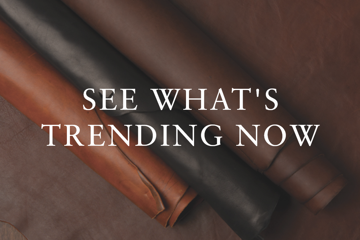 See What's Trending Now