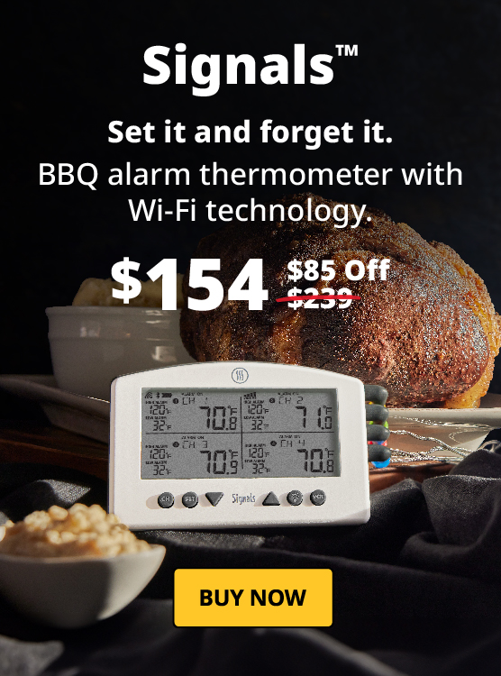 ThermoWorks Thermapen ONE Is on Sale for Black Friday 2021