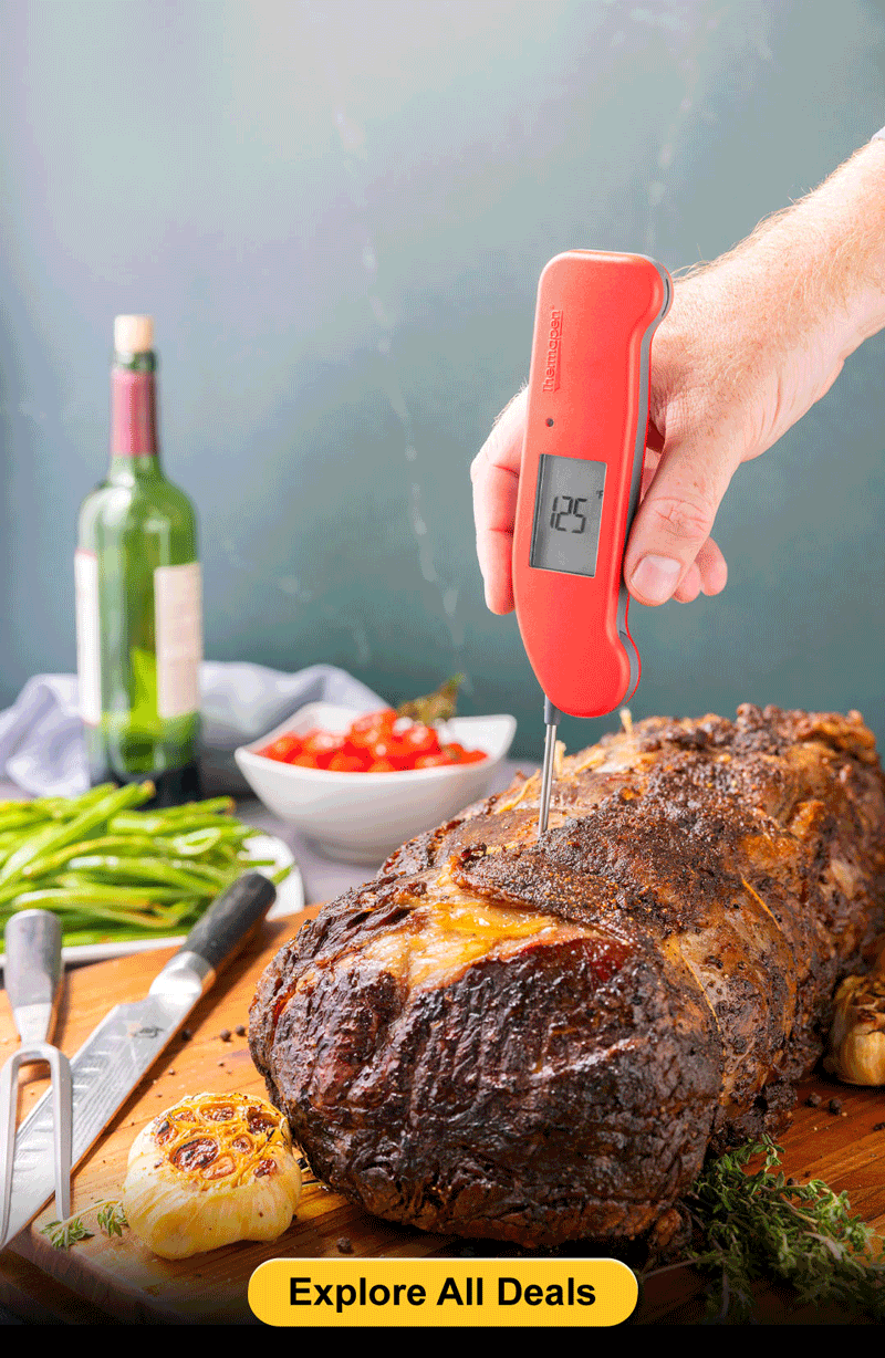 How to Carve a Turkey + Black Friday Deals ThermoWorks