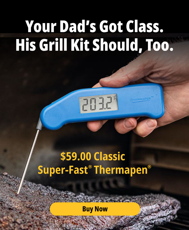 Thermoworks Thermapen Classic - Fireplace Stone & Patio