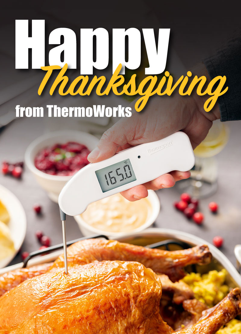 How to Carve a Turkey + Black Friday Deals ThermoWorks
