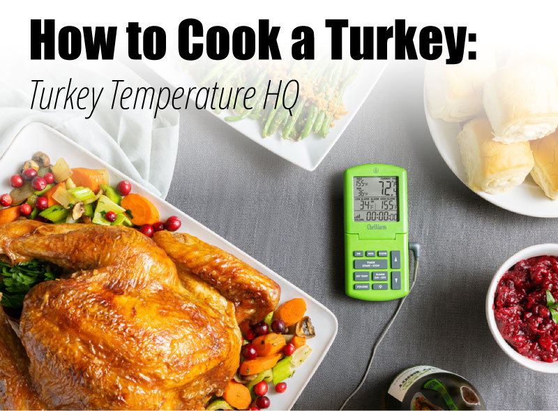 How to Cook a Turkey Temperature & Doneness ThermoWorks