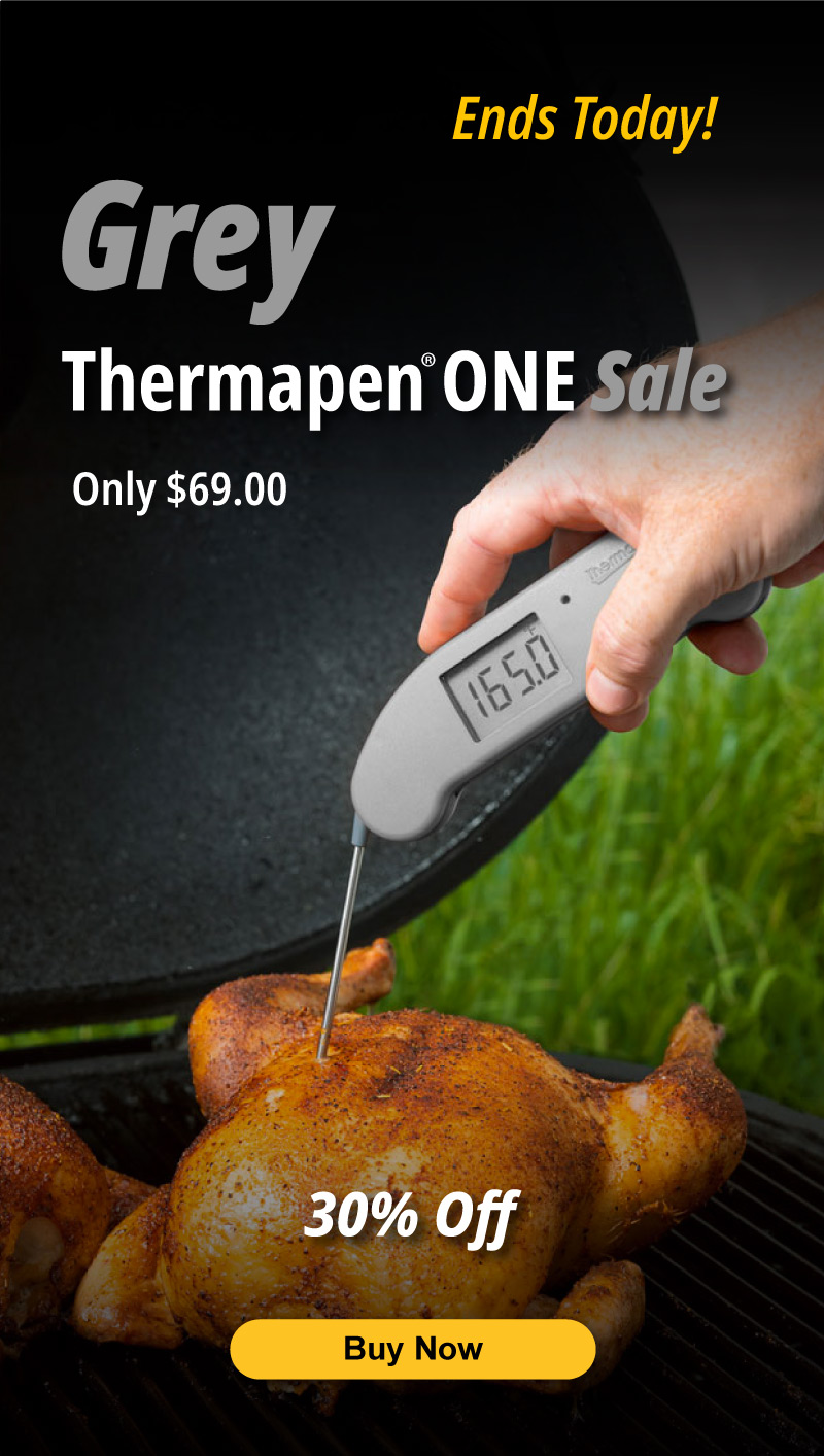 ThermoWorks Thermapen One - Grey