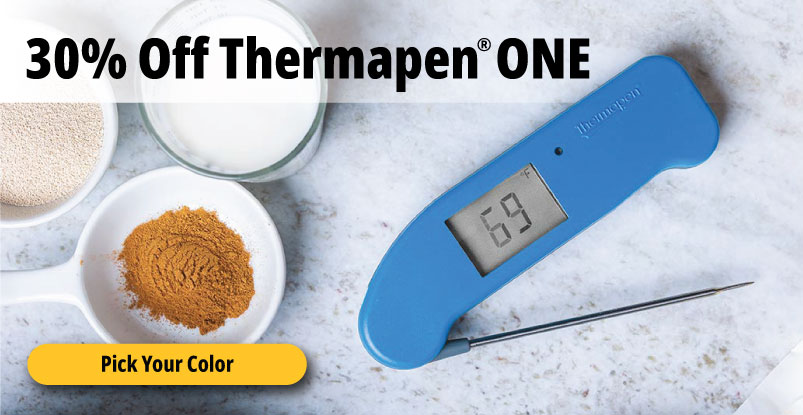 $29.25 DOT Simple Alarm Thermometer - ThermoWorks