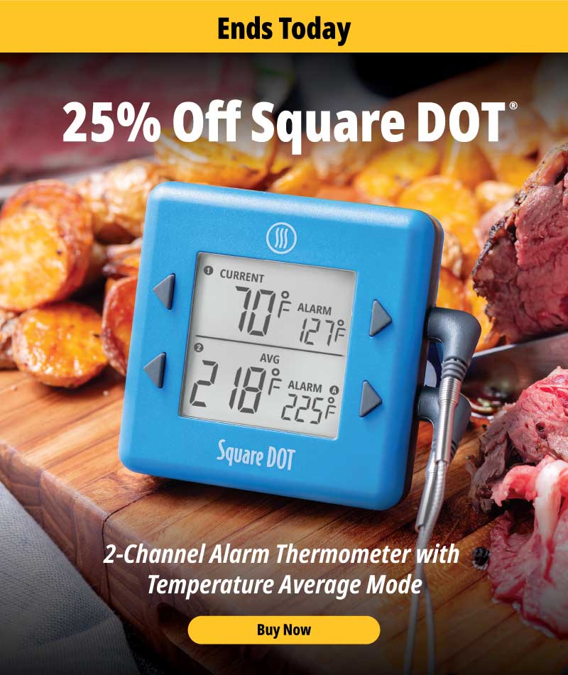 Thermapen ONE deal: Get this quality meat thermometer for 25% off