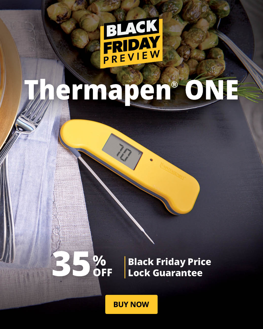 ThermoWorks Thermapen ONE Is on Sale for Black Friday 2021