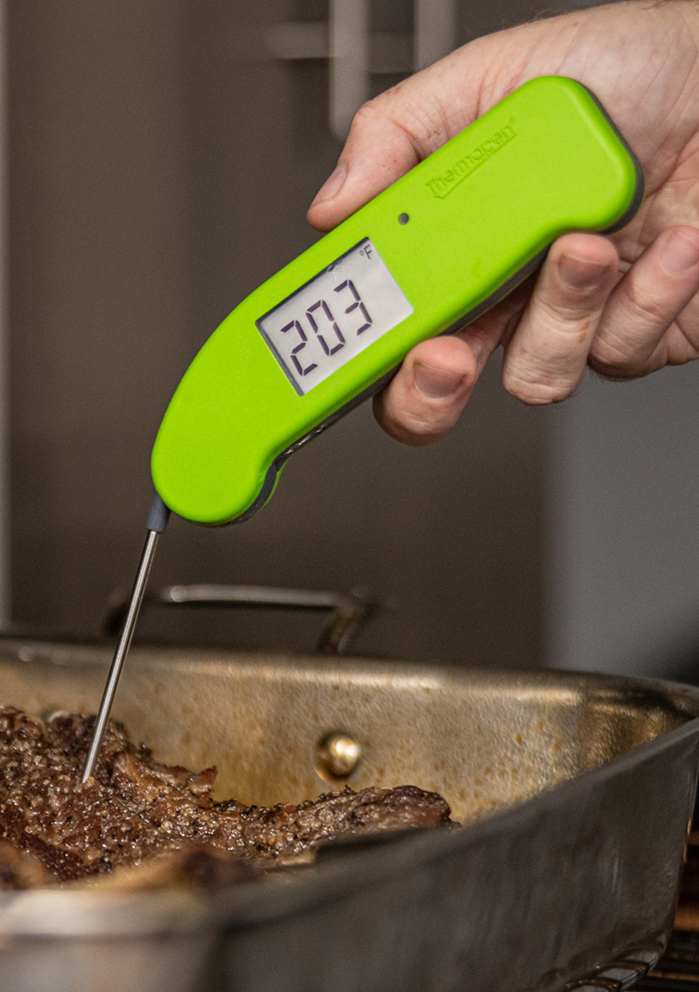 Thermapen ONE: The Essential HACCP Process Thermometer