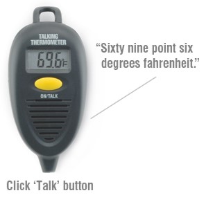 Talking Thermometer (RT8400)