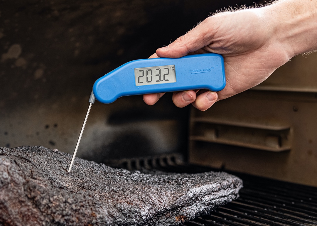 Thermoworks Thermapen Classic - Fireplace Stone & Patio