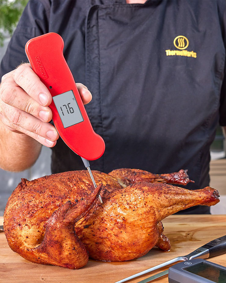 Erin's Food Files » Beer Can Chicken {ThermoWorks review}