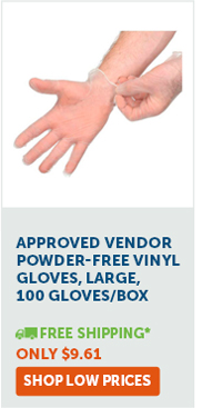 Approved Vendor Powder-Free Vinyl Gloves, Large, 100 Gloves/Box - Shop Low Prices