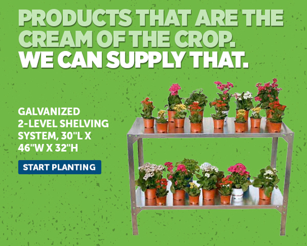 Galvanized 2-Level Shelving System - Start Planting