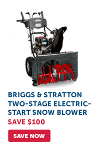 Pro_Cta_Briggs & Stratton Two-Stage Snow Blower - Save Now