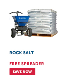 Pro_Cta_Rock Salt - Save Now