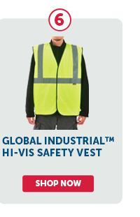 Pro_Cta_Global Industrial™ Hi-Vis Safety Vest - Shop Now