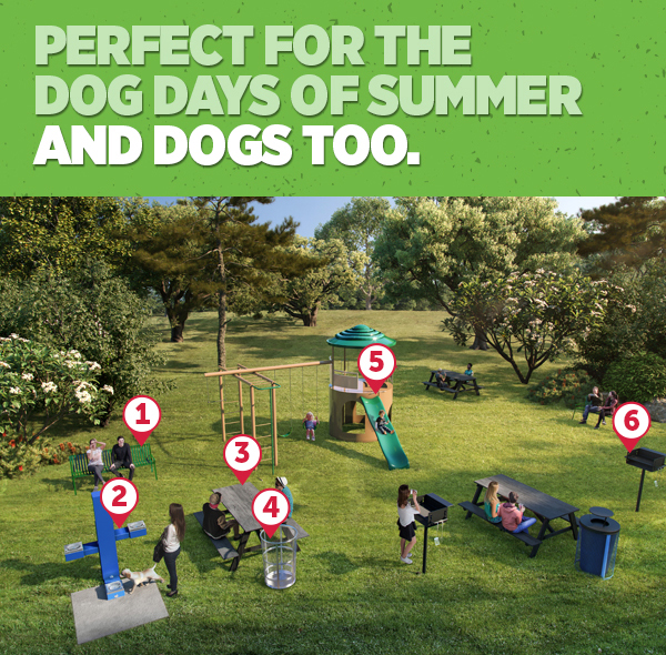 Her_Perfect For The Dog Days Of Summer and Dogs Too.