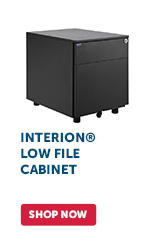 Pro_Cta_Interion Low File Cabinet - Shop Now