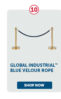 Pro_Cta_Global Industrial Blue Velour Rope - Shop Now