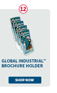 Pro_Cta_Global Industrial Brochure Holder - Shop Now