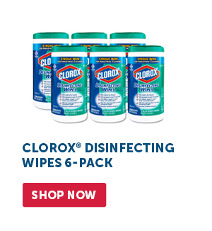 Pro_Cta_Clorox Disinfecting Wipes 6-Pack - Shop Now