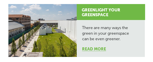 Cta_Greenlight Your Greenspace - Read More