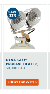 Pro_Cta_Dyna-Glo Propane Heater, 30000 BTU - Shop Low Prices