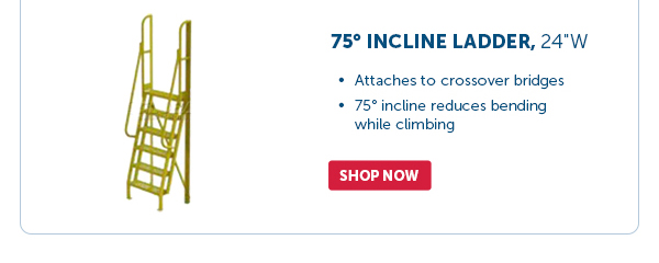 Pro_Cta_75 Incline Ladder, 24"W - Shop Now