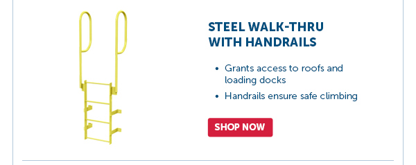 Pro_Cta_Steel Walk-Thru With Handrails - Shop Now