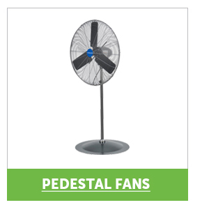 Pro_Cta_Pedestal Fans